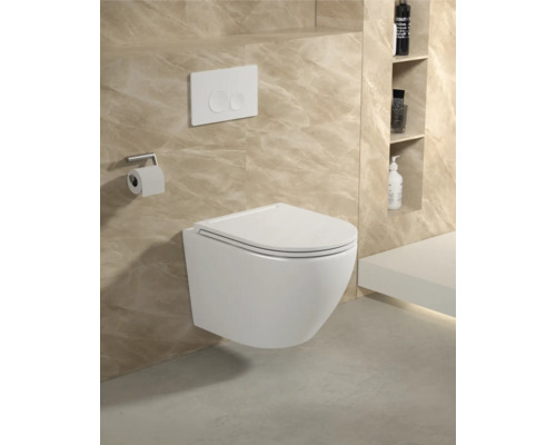 Wandhängendes WC mit Betätigungsplatte und Toilettenpapierhalter in einem Badezimmer mit Regalen