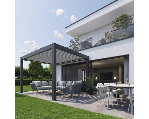 Pergola biohort 3x3,5 312 x 367,5 cm gris foncé-métallique/argent