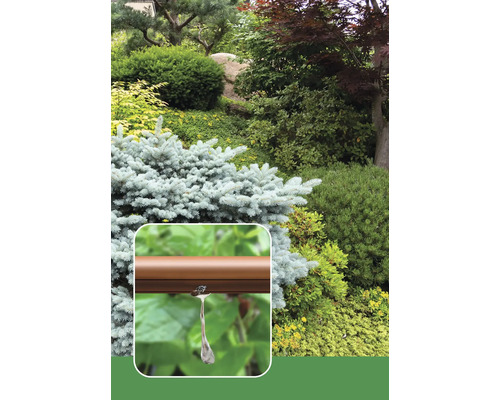 Gros plan d''un tuyau d''irrigation marron avec goutteur devant un jardin avec diverses plantes et arbustes.