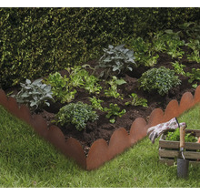 Parterre de plantes, bordure de parterre en métal, outils de jardin et gants