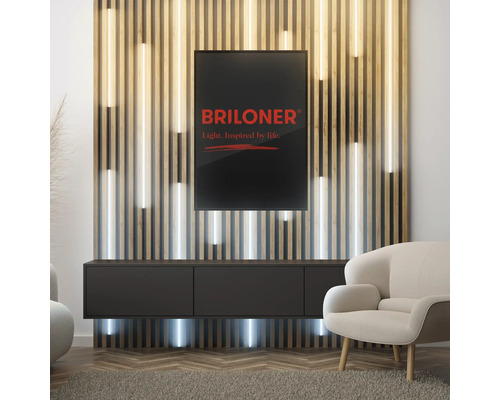 Wohnzimmer mit einer Akzentwand aus Holzlatten, einem Unterschrank, einem Sessel und einem Poster mit dem Briloner Logo.