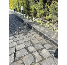 Gepflasterter Weg mit Blumenbeet und Hecke