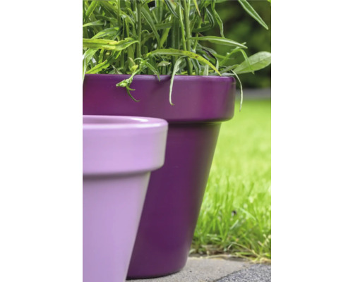 Zwei Pflanzgefäße aus Terrakotta im Garten.