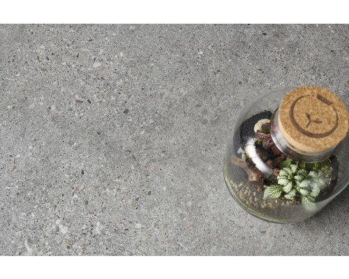 Dekorative Zimmerpflanzen im Glas mit Korkdeckel auf grauem Untergrund