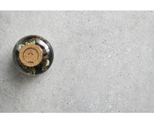 Terrarium en verre transparent avec couvercle en liège et plantes sur fond en béton