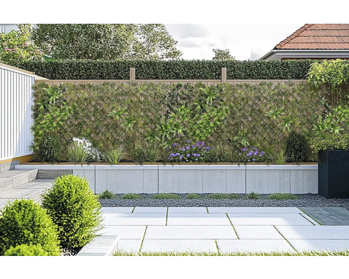 Scène de jardin avec écran d''intimité, mur planté et sol pavé