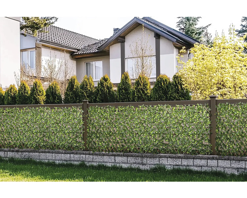 Clôture de jardin avec tapis de protection visuelle et maison en arrière-plan