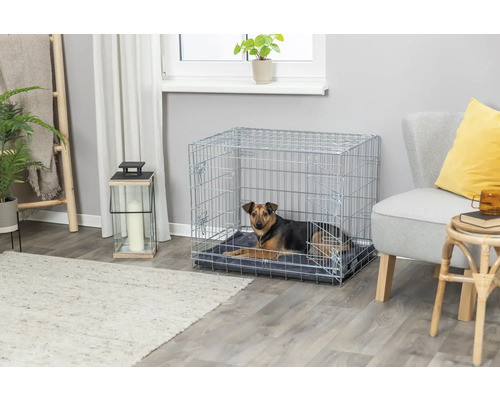 Hund liegt in einem Hundekäfig aus Draht in einem Wohnzimmer.