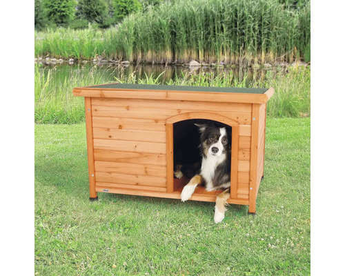 Hund im Hundehaus aus Holz im Garten