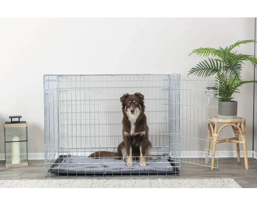Hund sitzt in einer Gitterbox mit Unterlage