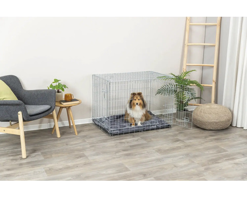 Chien dans une cage métallique argentée sur un support souple dans un salon.