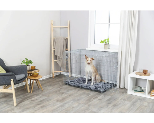 Hund in einer grauen Drahttransportbox in einem Wohnzimmer