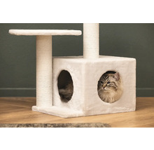 Chat dans un arbre à chat blanc avec des surfaces de couchage et un poteau à gratter