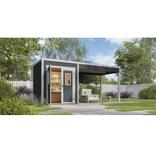 Abri de jardin avec étagères et auvent dans le jardin