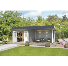Abri de jardin avec terrasse, mobilier de jardin et aménagement intérieur dans le jardin
