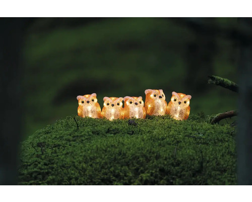 Fünf leuchtende Eulenfiguren aus Kunststoff auf einem moosbedeckten Untergrund.