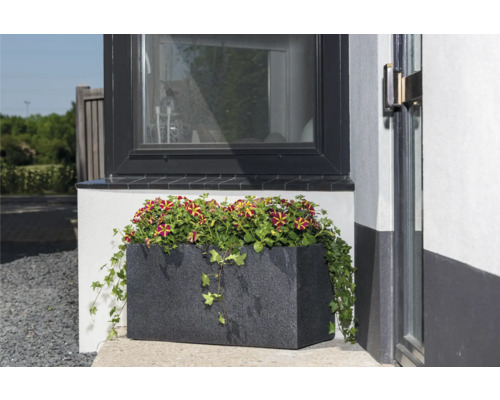 Jardinière avec des pétunias dressées devant une fenêtre