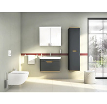 Salle de bains avec WC suspendu, meuble sous-lavabo, armoire de toilette et armoire haute
