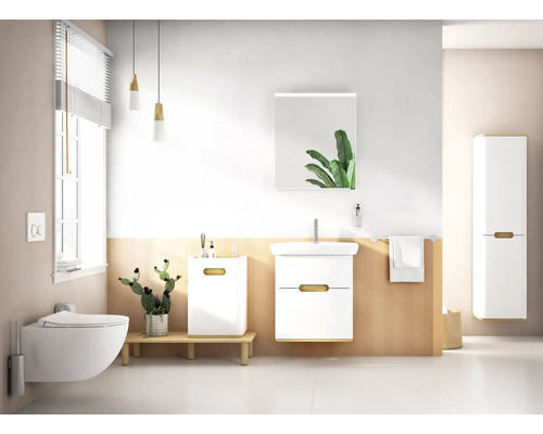 Helles Badezimmer mit Toilette, Waschtisch, Spiegel, Hängeschrank und Dekoration