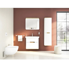 Salle de bain moderne avec toilettes, lavabo, miroir et armoire pour une ambiance claire et organisée
