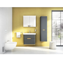 Salle de bains avec meuble sous-lavabo, armoire de toilette, armoire haute, toilettes et panier à linge