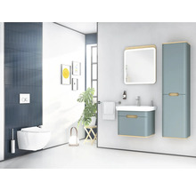 Salle de bain moderne avec toilettes, lavabo, armoire de toilette et armoire haute.