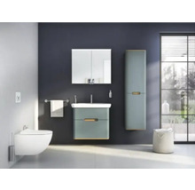 Salle de bains moderne avec meuble-lavabo, armoire de toilette, armoire haute et WC suspendu.