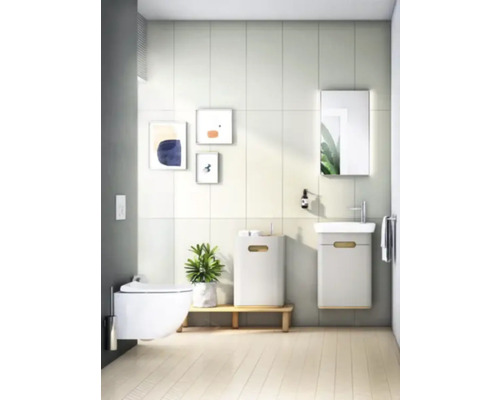 Helles Badezimmer mit Toilette, Waschbecken, Spiegel und Dekorationen
