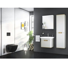 Salle de bains moderne avec toilettes, lavabo, armoire de toilette et armoire haute