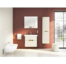 Salle de bains moderne avec WC, lavabo, armoire de toilette et armoire haute.