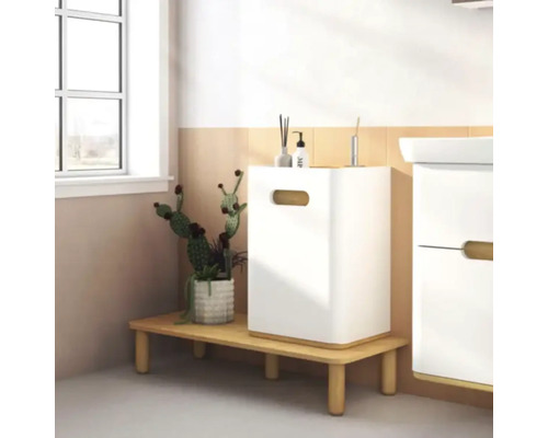 Meuble sous-lavabo de salle de bain avec étagère et décoration