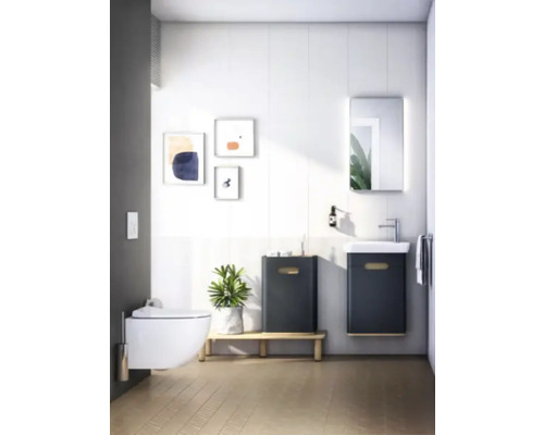 Salle de bains lumineuse avec WC suspendu, meuble sous-lavabo et miroir