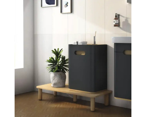 Scène de salle de bains avec meuble bas, étagère et plante d''intérieur