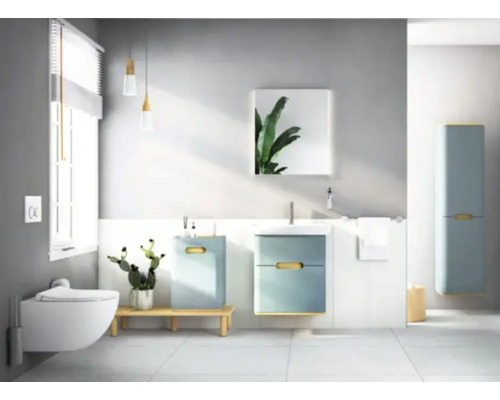 Salle de bains lumineuse avec toilettes, meuble-lavabo, lavabo et armoire haute
