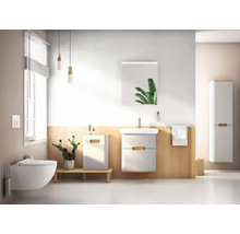 Helles Badezimmer mit Toilette, Waschbeckenunterschrank, Spiegelschrank und Hochschrank