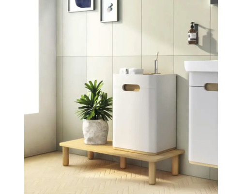 Salle de bains moderne avec meuble sous-lavabo blanc, étagère et plante verte d''intérieur