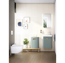 Modernes Badezimmer mit Wand-Tiefspülklosett, Waschtisch, Spiegel und dekorativen Elementen für eine helle und freundliche Atmosphäre.