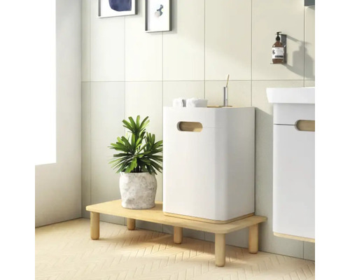 Salle de bain moderne avec meuble de salle de bain blanc, tabouret en bois et plante verte