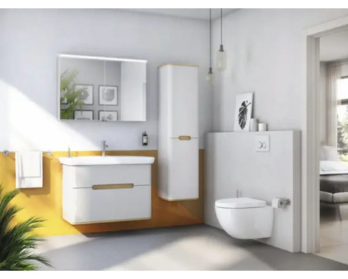 Salle de bains lumineuse avec lavabo, armoire de toilette, armoire suspendue et WC suspendu