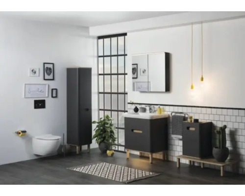 Salle de bain moderne avec lavabo, armoire de toilette, WC et meubles de salle de bain