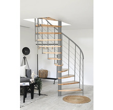 Raumbild mit Wendeltreppe mit Holzstufen und Metallgeländer