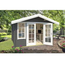 Abri de jardin avec mobilier de bureau dans le jardin