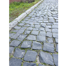 Pflasterweg mit Natursteinpflaster und Bordstein
