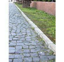 Gepflasterter Weg mit Randsteinen und Begrünung