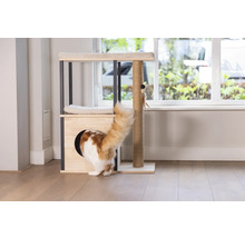 Chat grimpant dans un arbre à chat avec surfaces de couchage et jouets