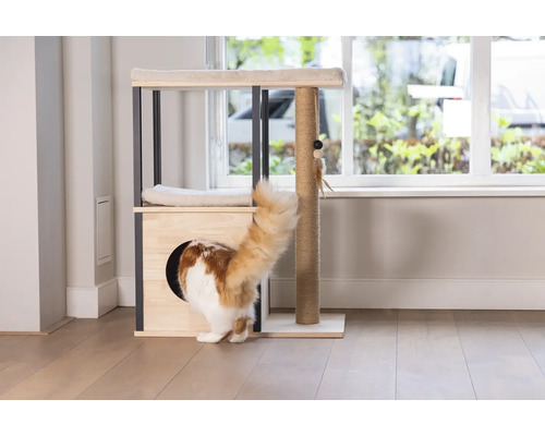 Chat grimpant dans un arbre à chat avec surfaces de couchage et jouets