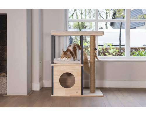 Chat sur un arbre à chat avec des surfaces de couchage et une grotte