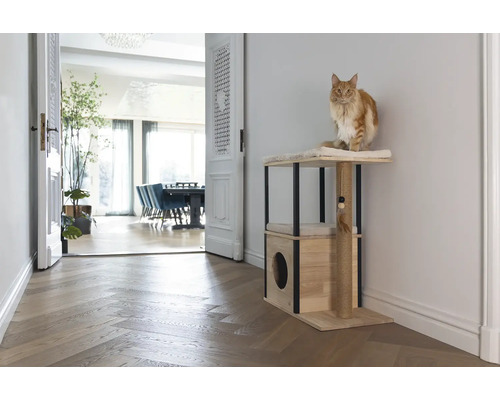 Chat sur un arbre à chat avec un espace de couchage et un poteau à griffer dans un salon lumineux