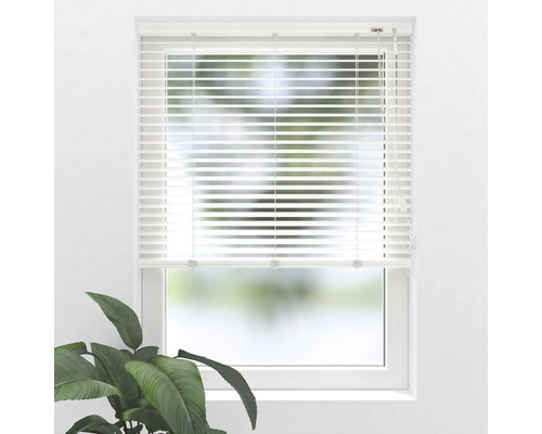 Fenster mit Jalousie zur Lichtregulierung