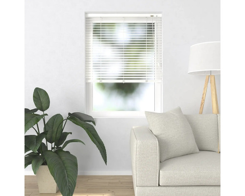 Szene mit Fensterjalousie, Sofa, Zimmerpflanze und Stehlampe in einem hellen Raum.